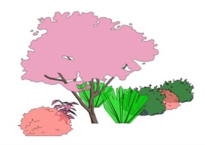 各种园林乔灌木地被植物素材大全SU(草图大师)模型