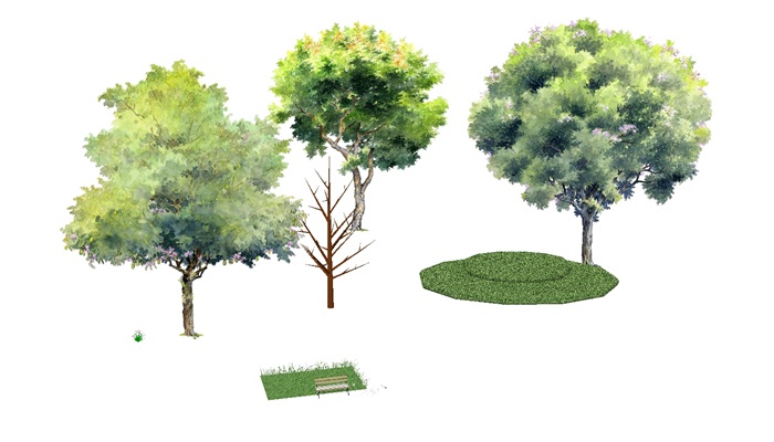 各种园林乔灌木地被植物素材大全SU模型(12)