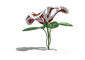 现代创意艺术植物小品SU(草图大师)模型