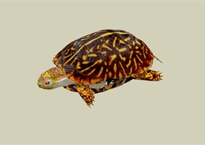 某详细的乌龟小品动物雕塑SU(草图大师)模型