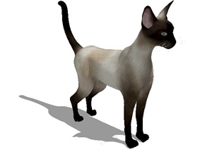 动物小猫素材设计SU(草图大师)模型
