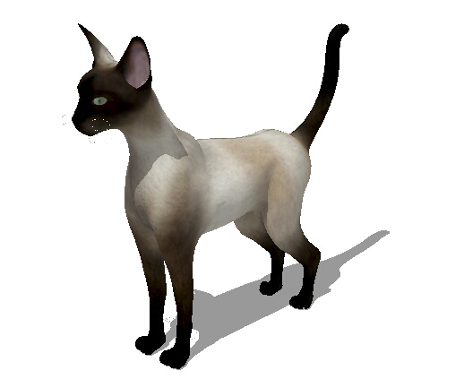 动物小猫素材设计su模型