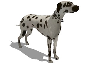 一条斑点小狗素材设计SU(草图大师)模型