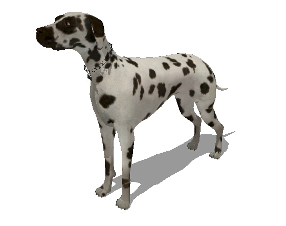 一条斑点小狗素材设计su模型