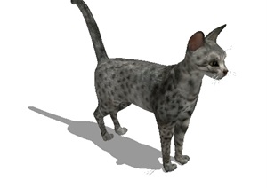 动物猫素材设计SU(草图大师)模型