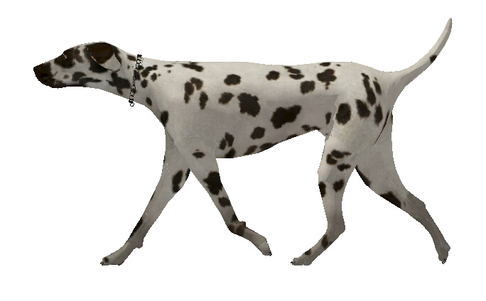 斑点狗素材设计su模型