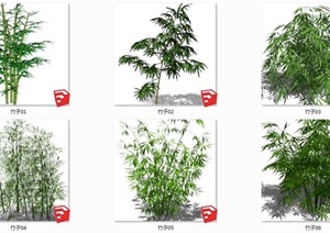13个竹子植物素材ＳＵ模型