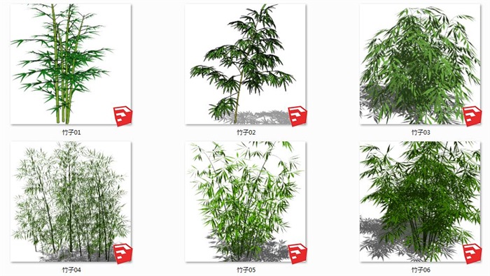 13个竹子植物素材ＳＵ模型(1)