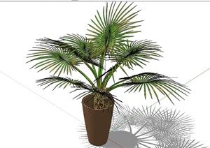 棕榈植物盆栽素材SU(草图大师)模型
