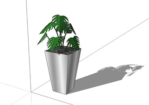 种植花钵植物素材设计SU(草图大师)模型