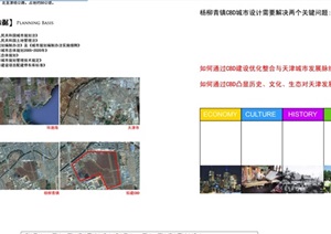 某现代风格杨柳青城市规划设计pdf方案