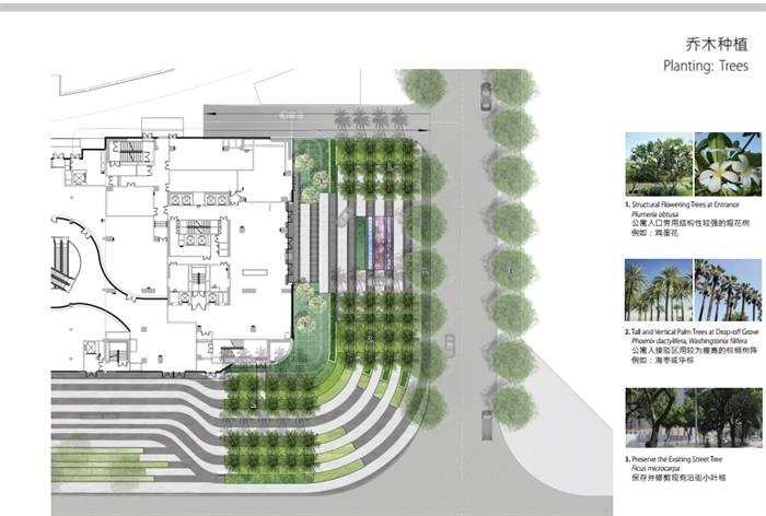 某中洲中央公园C地块景观方案设计pdf方案(5)