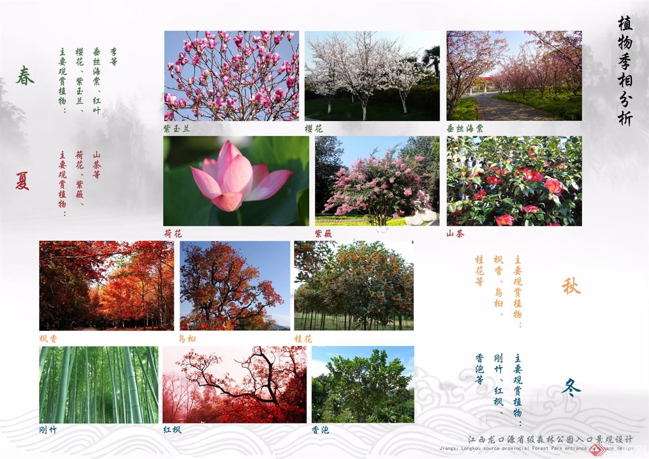 29植物季相分析