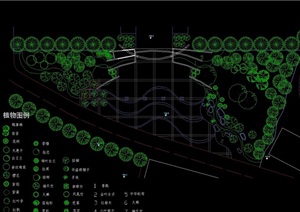 入口广场景观绿化配置cad施工图