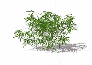 44个3D绿色灌木植物素材设计SU(草图大师)模型