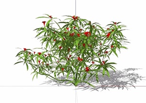 34个3D花卉灌木植物素材设计SU(草图大师)模型