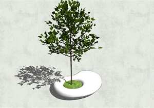 异形树池设计SU(草图大师)模型