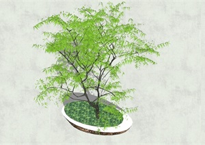 现代详细异形树池SU(草图大师)模型