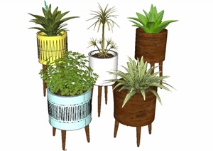 室内盆栽花架植物墙艺术花卉植物素材SU(草图大师)模型