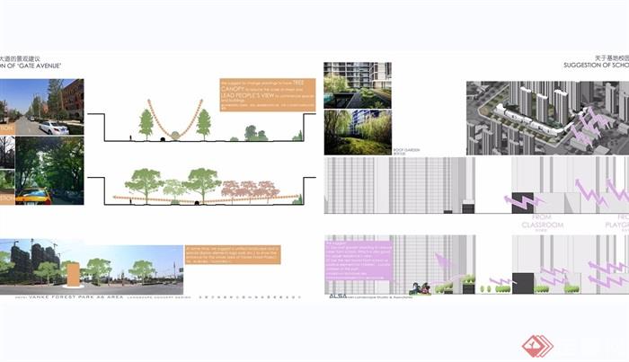 万科森林公园项目景观概念jpg方案设计