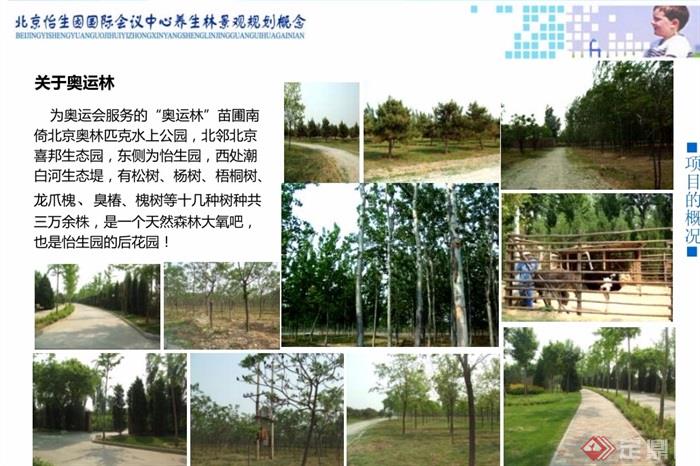 某怡生园国际会议中心养生林景观设计pdf方案