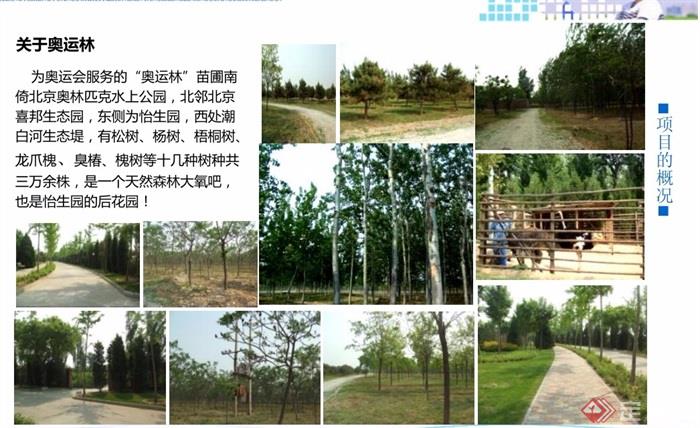 某国际会议中心养生林景观设计pdf方案