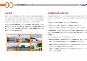 某浦东城镇新市镇城市设计pdf方案