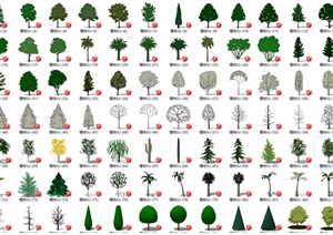 100多种植物SU(草图大师)模型单体树模型