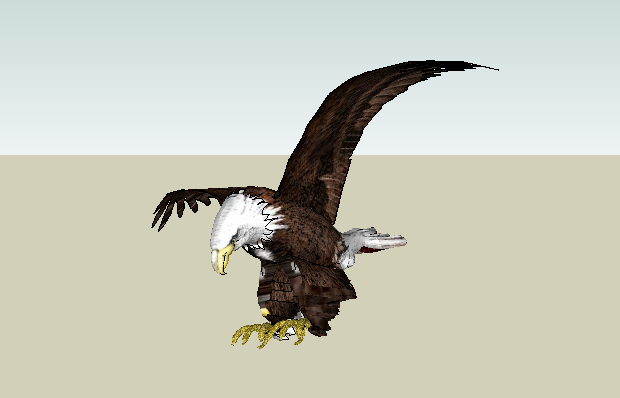 AMERICAN BALD EAGLE(1)