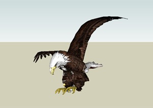 AMERICAN BALD EAGLE