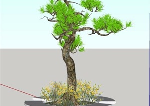 松树树池设计SU(草图大师)模型