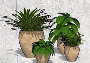 四盆高低植物搭配组合SU(草图大师)模型