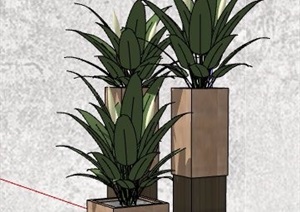 三株花卉盆栽组合植物SU(草图大师)模型