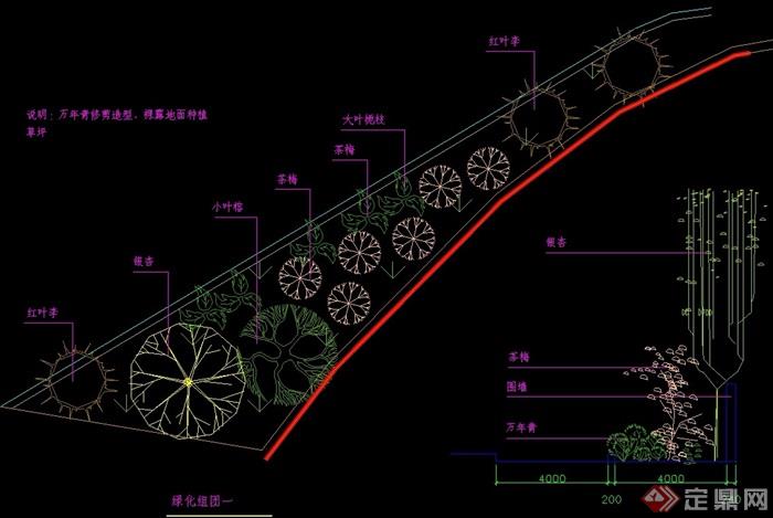 某公园绿化组团cad方案详图