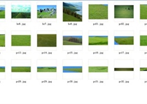 大量乔木、灌木、草本、藤本后期素材psd、jpg格式