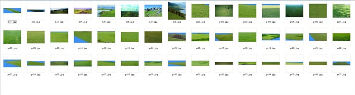 大量乔木、灌木、草本、藤本后期素材psd、jpg格式