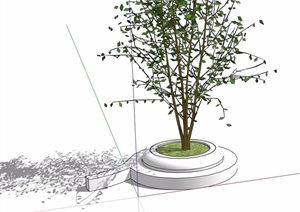 独特圆形树池设计SU(草图大师)模型
