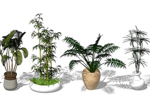 景观小品植物 盆栽 陶罐 竹子合集SU(草图大师)模型