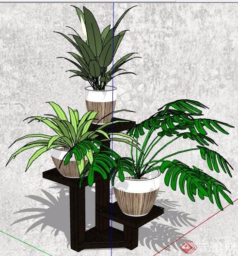 四款盆栽植物SU精细模型