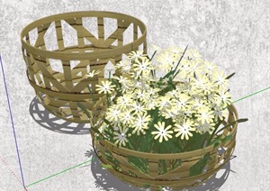 五款植物盆栽装饰素材SU(草图大师)模型