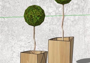 5款绿化景观植物盆栽素材SU(草图大师)模型