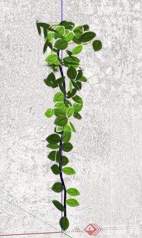 5组盆栽绿化植物素材su模型