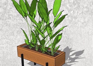4款盆栽植物及植物架SU(草图大师)模型